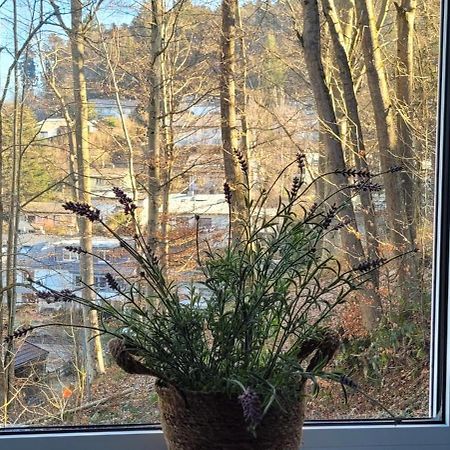 Ferienwohnung Am Wald Waldkirch Exterior foto